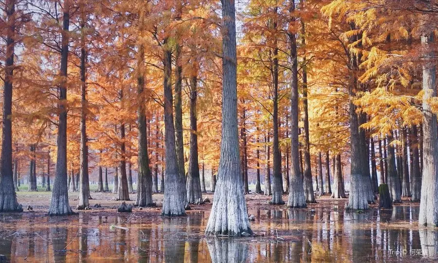 Siminghushuishan Wetland