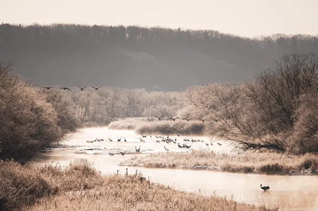 【北海道冬天自由行⛄】十大必到冬日限定北海道景點!