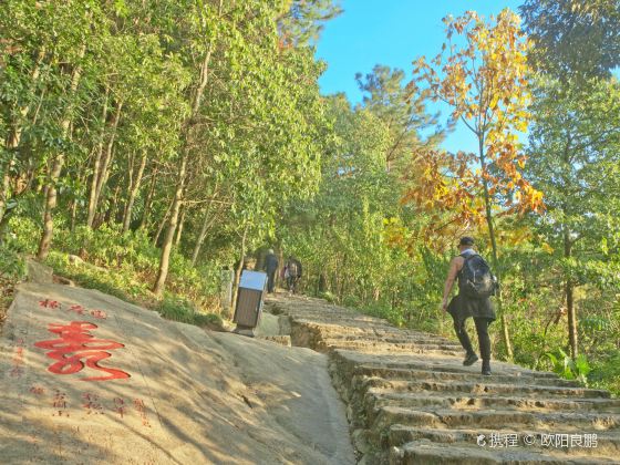 Ancient Mountain Path