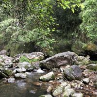 評論圖片 9