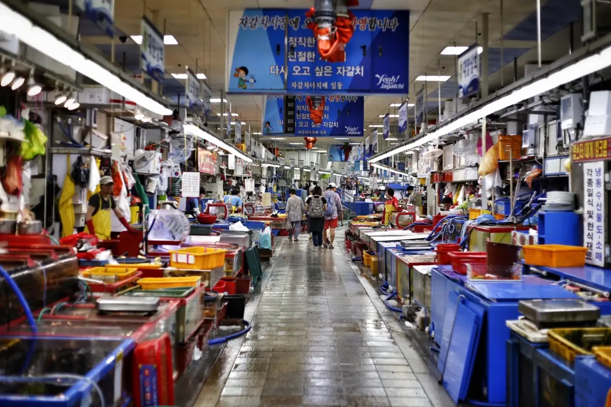 Jagalchi Fish Market