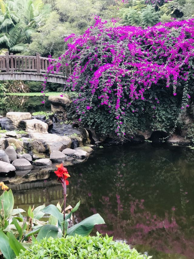 정인곡