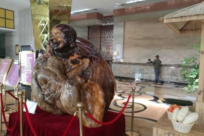 万盈·瑞凯森林温泉酒店-中餐厅