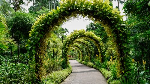 Singapore Botanic Gardens