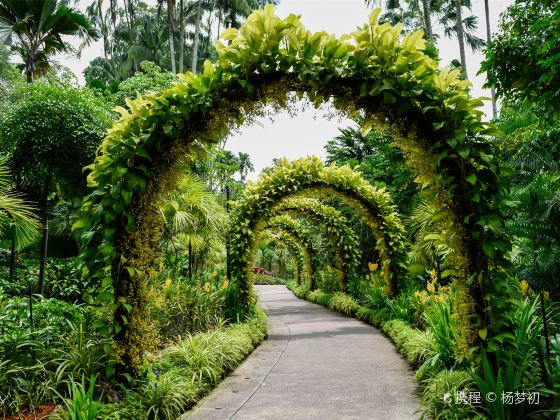 Vườn bách thảo Singapore