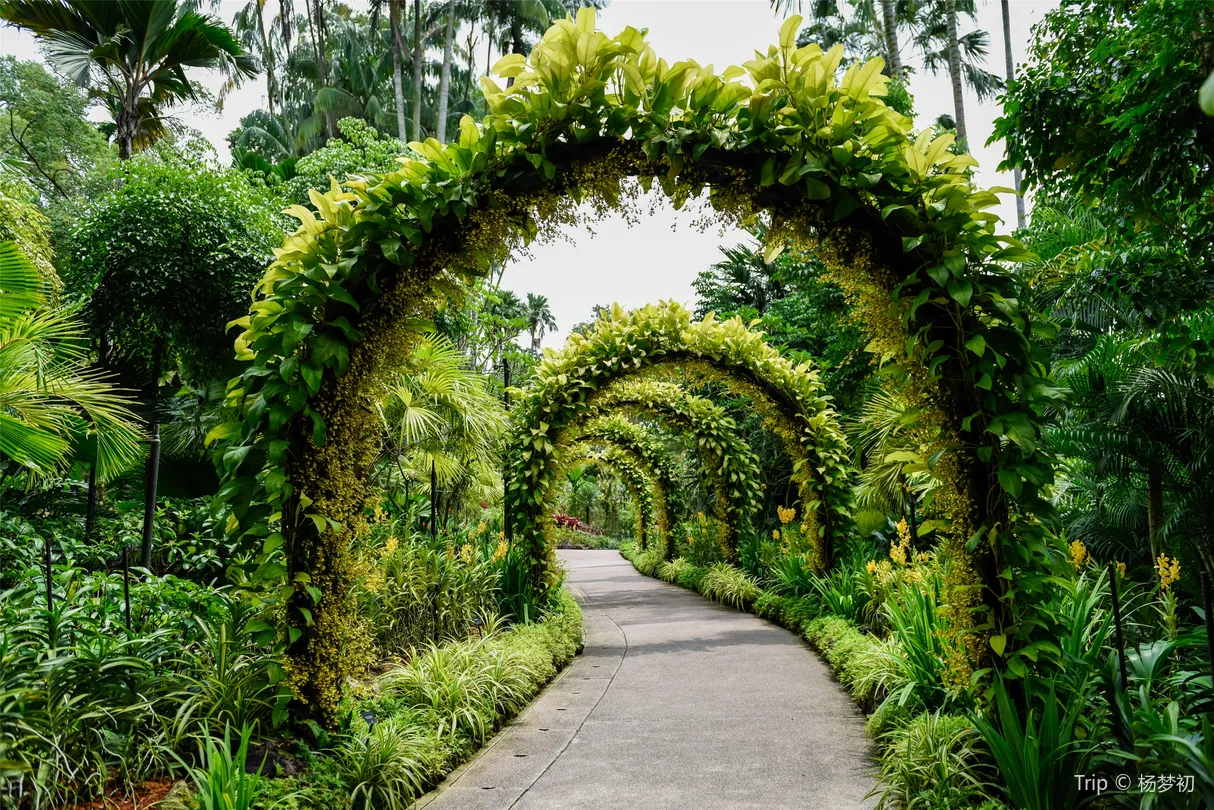3_新加坡植物園