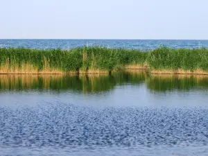 Tuosu Lake