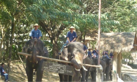 Meidan Elephant Camp