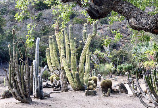 Solstice Canyon