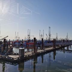 Blue Canoe Waterfront Restaurant 여행 사진