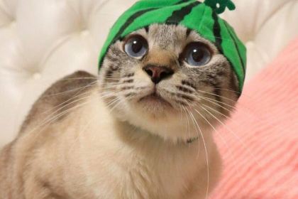 麦当劳(海宁长安城市广场店)