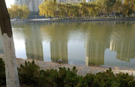 楊氏鴨掌門特色火鍋(溫宿店)