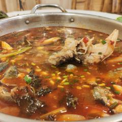 食里香酸汤鱼 User Photo