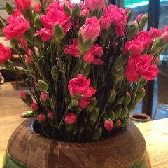 La Pepita User Photo