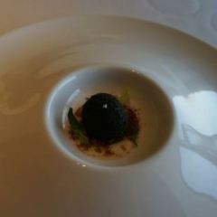 Continental User Photo