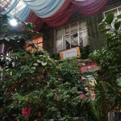 Jiangongkuailecharen 여행 사진