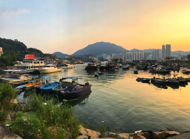 2026 홍콩 해산물 맛집 추천 6곳 🦀 홍콩 여행에서 안 먹으면 반드시 후회할 미슐랭 맛집!!