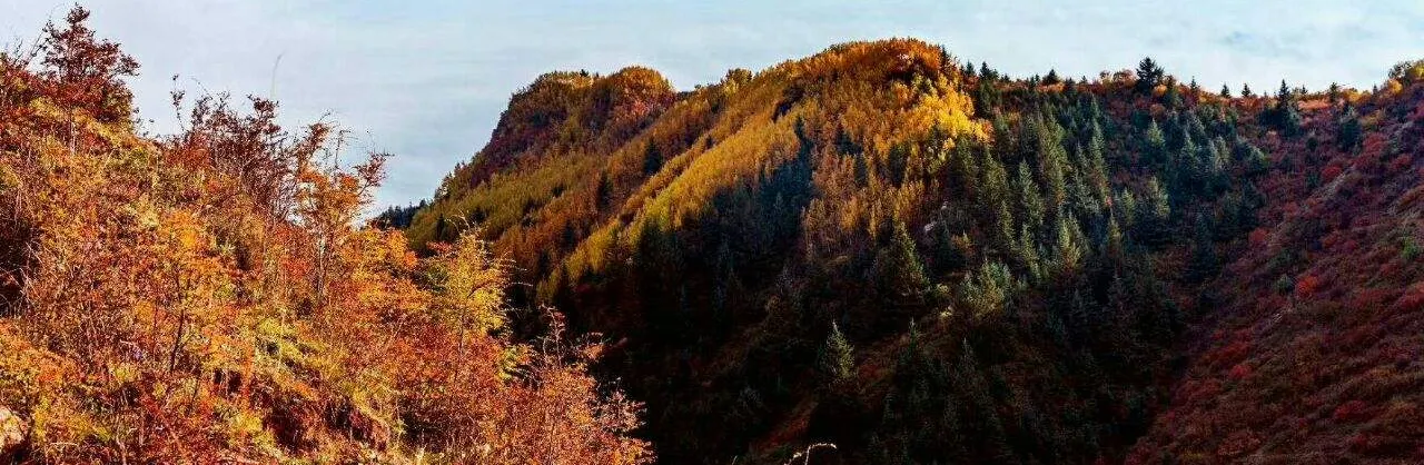 Attrazioni per la visione autunnale