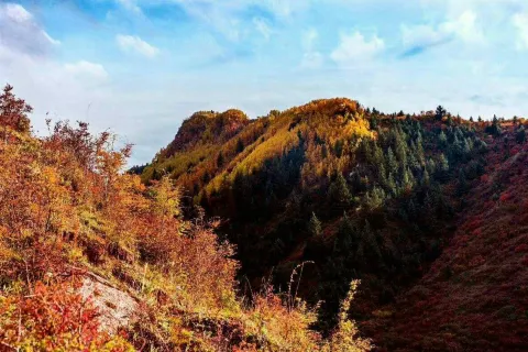Yanzhi Mountain Forest Park