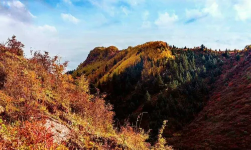 Yanzhi Mountain Forest Park