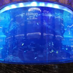 Hilton Foshan OPEN All-Day Dining Restaurant ảnh của người dùng