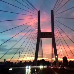 Pelham's ảnh của người dùng