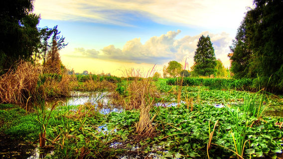 Johannesburg Botanical Gardens
