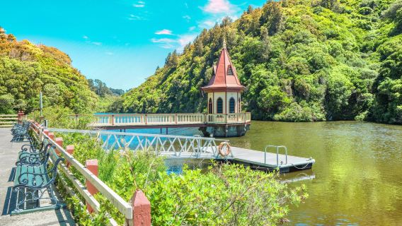 Zealandia Te Māra a Tāne