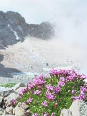 Jardín Botánico Ártico-Alpino de Tromsø