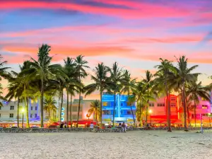Top 11 Best Things to Do in Miami