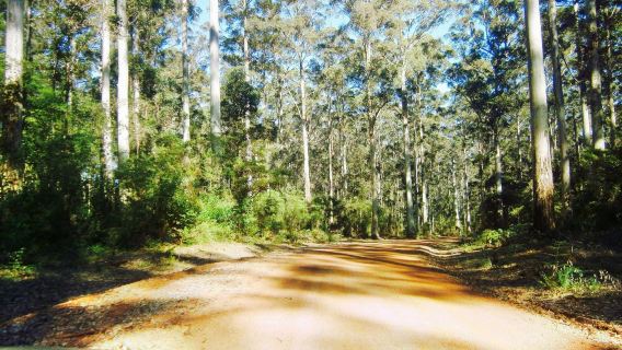 Gloucester National Park