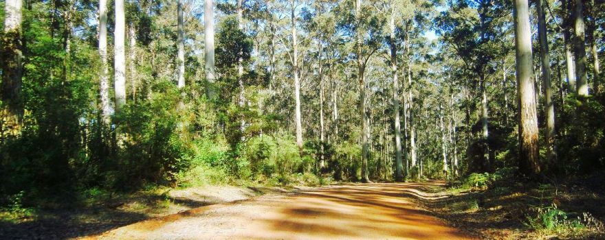 Gloucester National Park