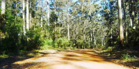 Gloucester National Park