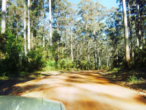 Gloucester National Park