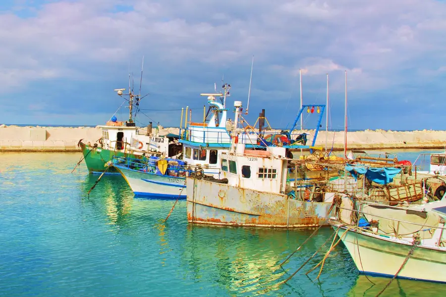 Jaffa Port