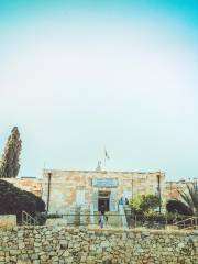 Museo archeologico della Giordania - Amman (Giordania)
