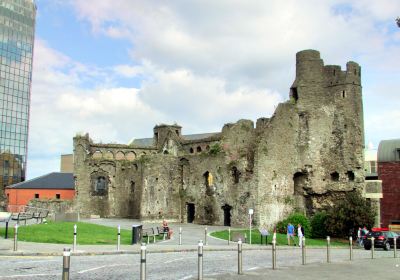 Swansea Castle