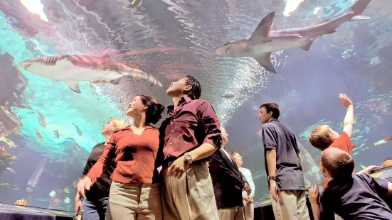 紐坡特水族館