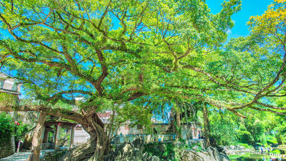 Hezhou