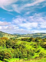 Reserva biológica Bosque Nuboso Monteverde