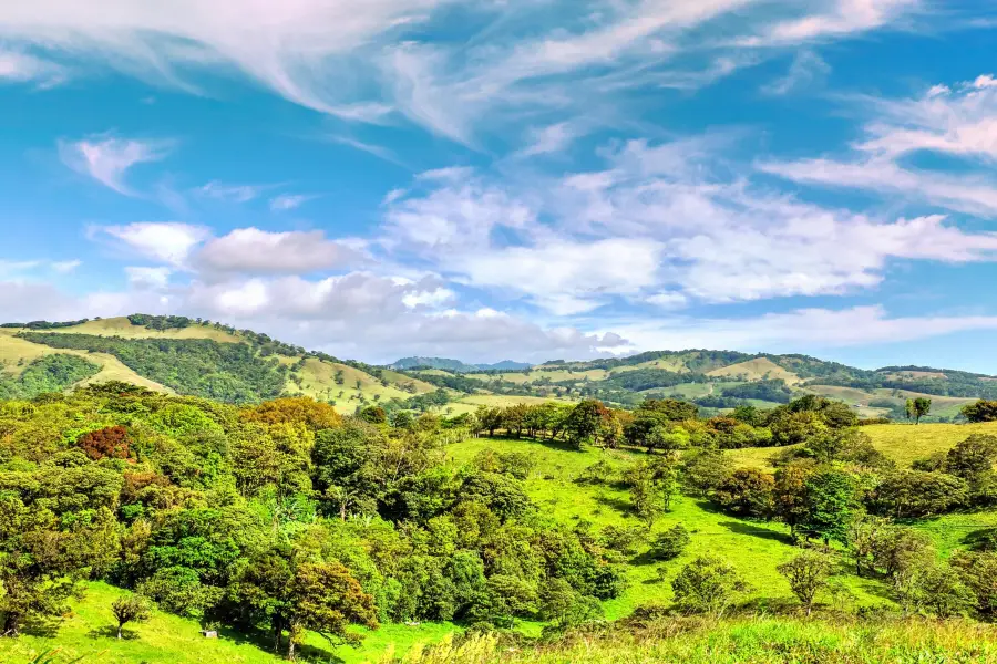 Riserva Biologica di Monteverde