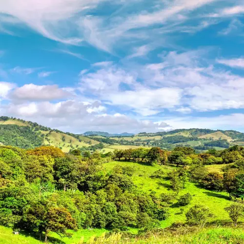 Biologisches Reservat Monteverde