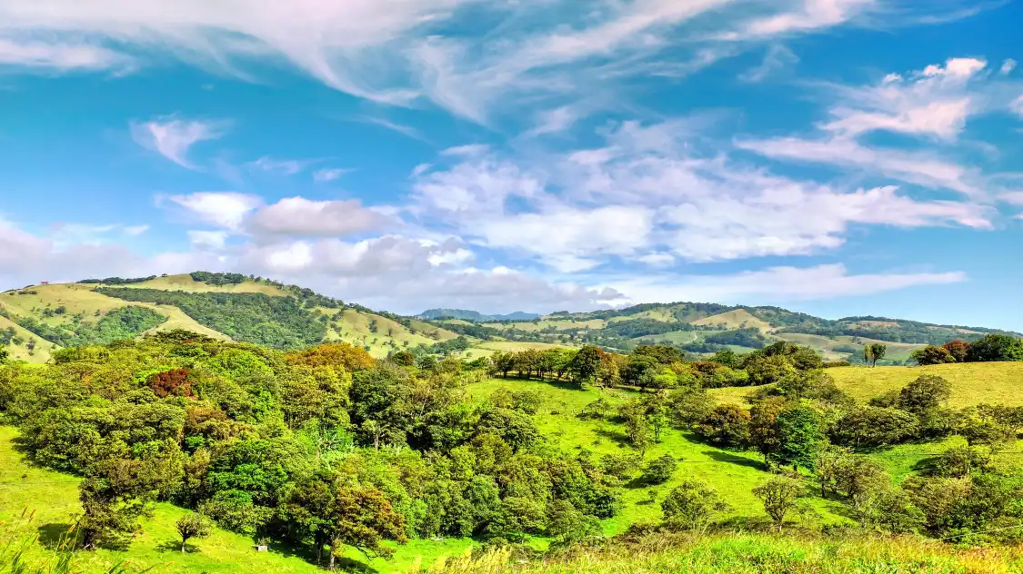 Các khách sạn gần Monteverde Cloud Forest Reserve
