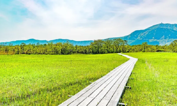 เซงกูฮาระ