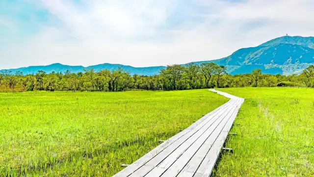 Hotels near Sengokuhara