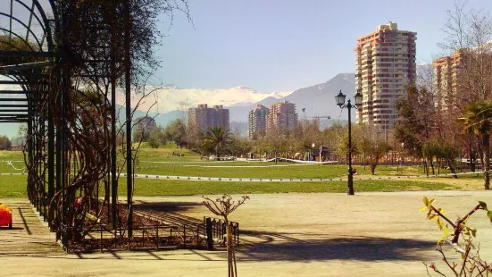 Araucano Park