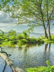 Golden Gardens Park