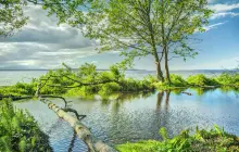 Golden Gardens Park