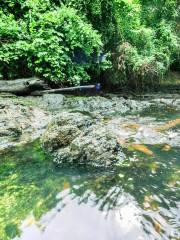 康卡沾國家公園