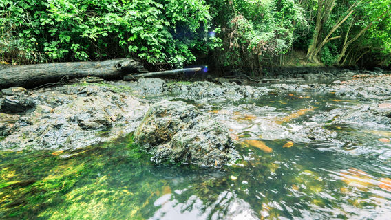Kaeng Krachan National Park